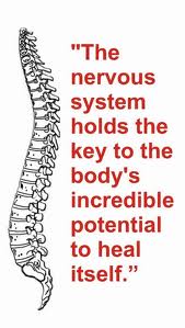 Healthy Nervous System = Health 